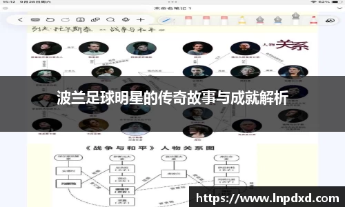波兰足球明星的传奇故事与成就解析