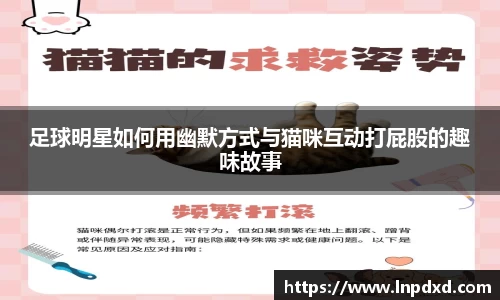 足球明星如何用幽默方式与猫咪互动打屁股的趣味故事